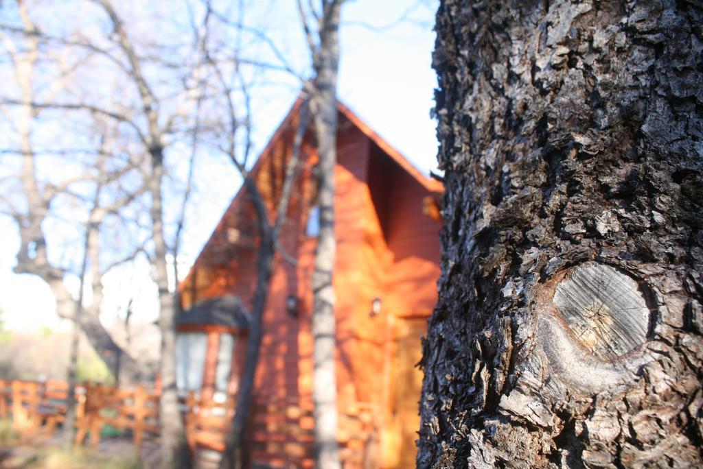 Chalet Tronco Mayen Las Trancas